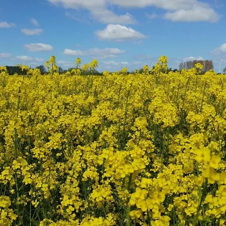 Gundelsby Сasa de vacaciones